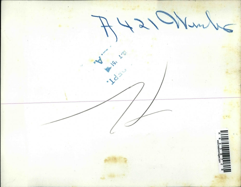 1951 Press Photo Chicago Ice Encrusted Trees Lake Michigan - nea38728