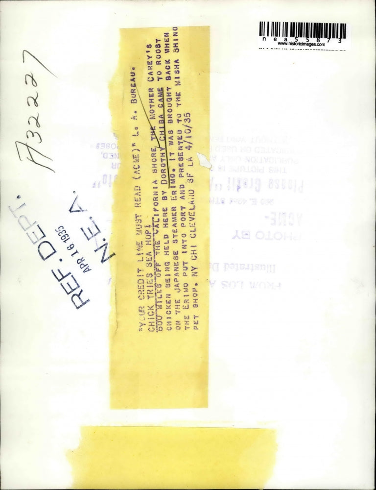 1935 Press Photo Dorothy Chiba holding young Bird - nea55873