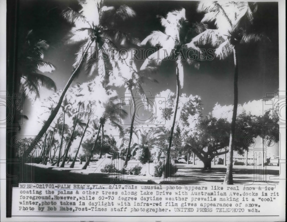 1958 Press Photo Palm Beach Appears to be in Snow