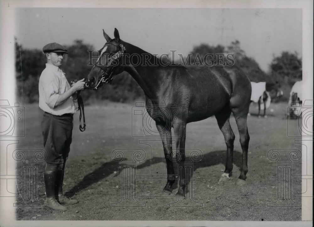 1937 Press Photo Polo pony, "Fuss Budget" at Natl pony society show in NY