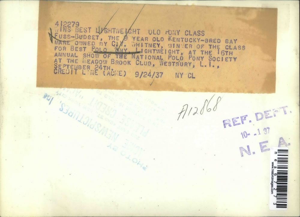 1937 Press Photo Polo pony, "Fuss Budget" at Natl pony society show in NY