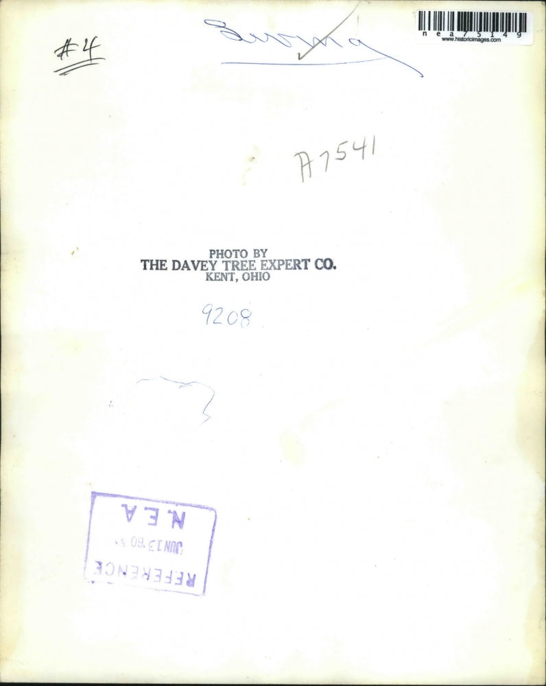 1960 Press Photo A young girl swinging