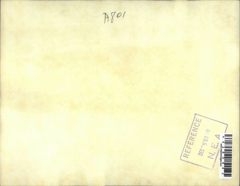 1961 Press Photo New Guinea Aierial View of Agats Settlement