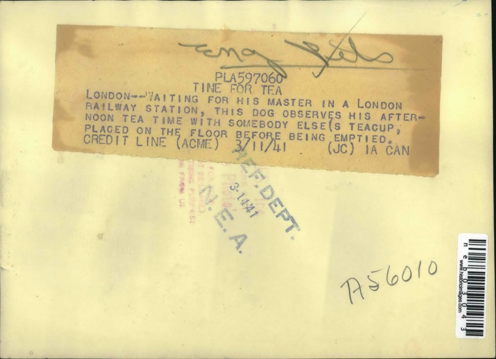 1941 Press Photo Dog at London Railway Station Drinks Tea