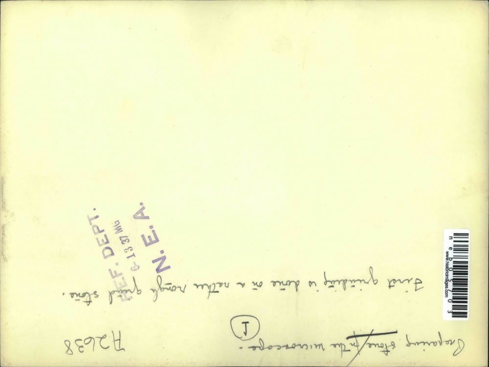 1937 Press Photo Preparing Stone For Microscope