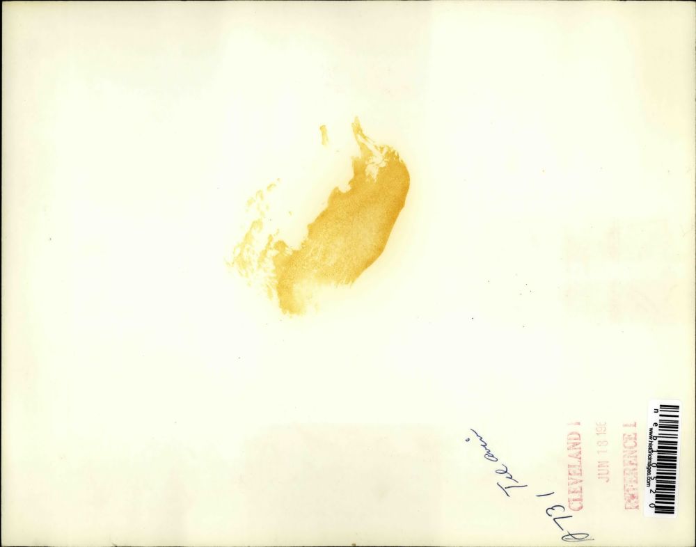 1961 Press Photo A model of a new housing project to be built