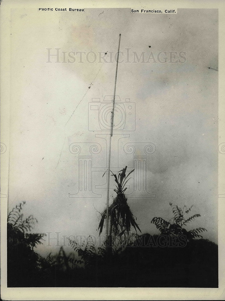 1926 Press Photo Lauhala Tree Attached to Radio in Grass Hut of Lucia Maekena