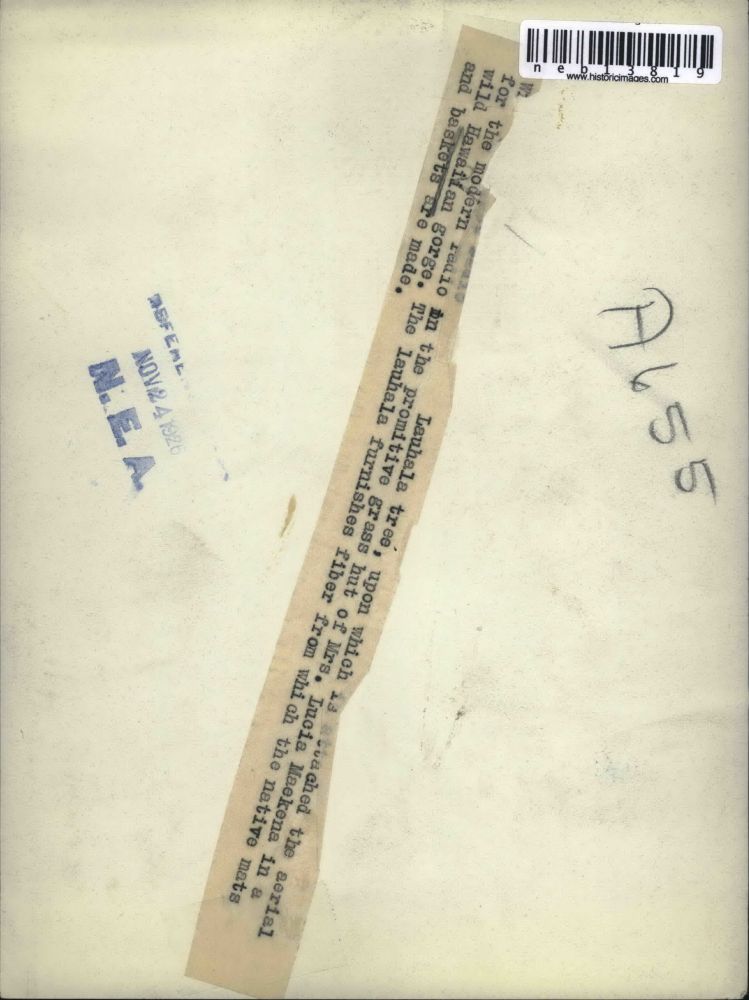 1926 Press Photo Lauhala Tree Attached to Radio in Grass Hut of Lucia Maekena