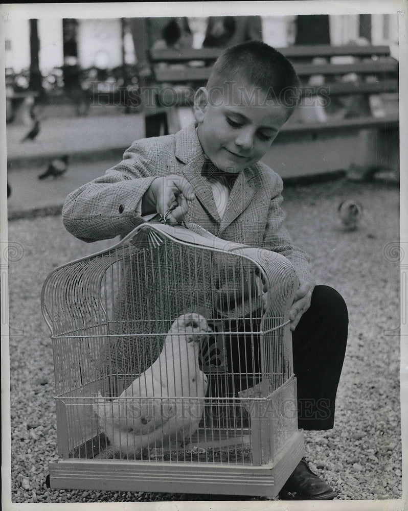 1958 Press Photo Barry Coyle Piegon