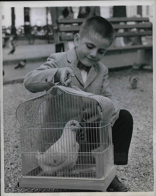 1958 Press Photo Barry Coyle Piegon
