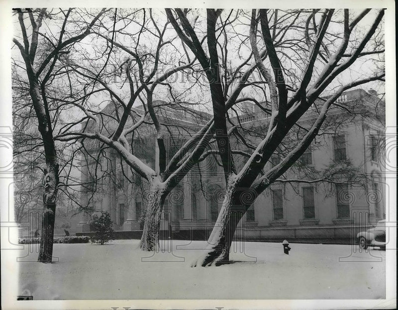 Load image into Gallery viewer, 1941 Press Photo Heavy Snow Falls on White House in Washington, D. C.
