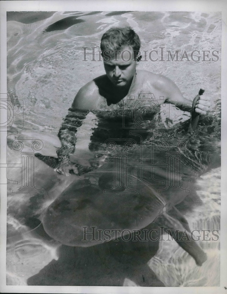 Load image into Gallery viewer, 1959 Press Photo Handler &amp; a lemon shark at Miami, Fla. Seaquarium
