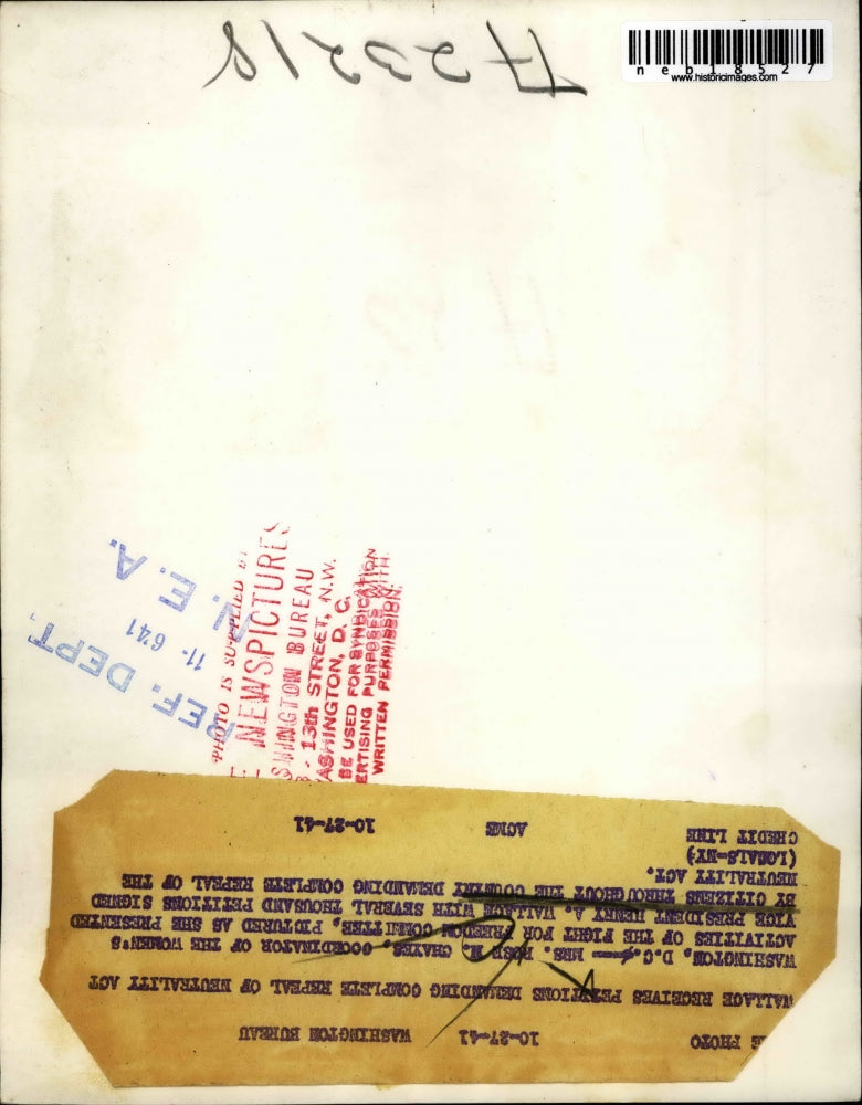 1941 Press Photo Mrs. Rose M. Chayes, Fight for Freedom Committee, H. Wallace