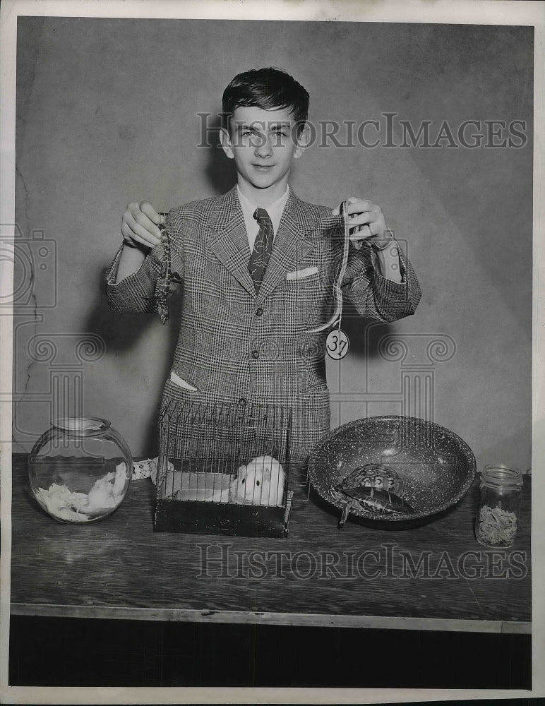 1945 Press Photo Alfred Dinkings Annual Pet show - neb23450