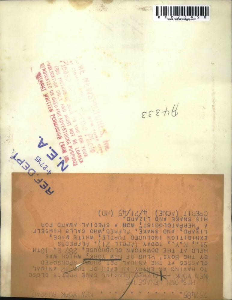 1945 Press Photo Alfred Dinkings Annual Pet show - neb23450