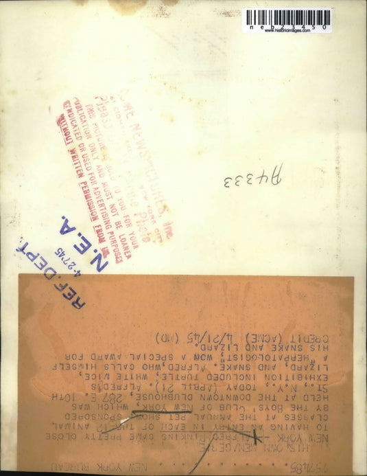 1945 Press Photo Alfred Dinkings Annual Pet show - neb23450