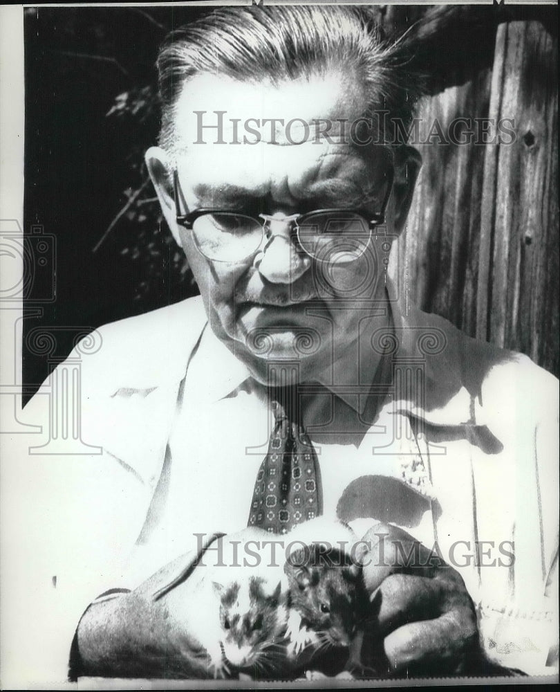 1971 Press Photo Dr. Allen J. Stanley with normal rat & one with his won strain