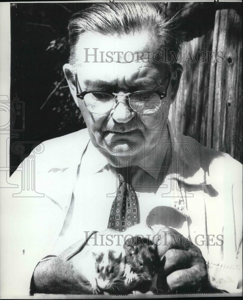 Load image into Gallery viewer, 1971 Press Photo Dr. Allen J. Stanley with normal rat &amp; one with his won strain
