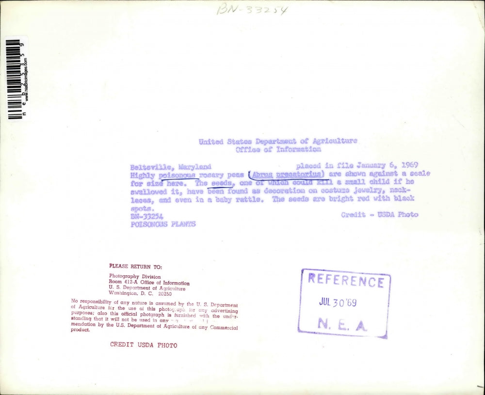 1969 Press Photo Highly Poisonous Rosary Peas Seeds Can Kill Small Child