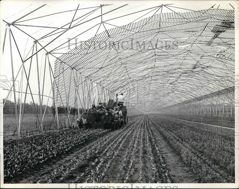 Load image into Gallery viewer, 1973 Press Photo Ten- Man transplanter on a farm
