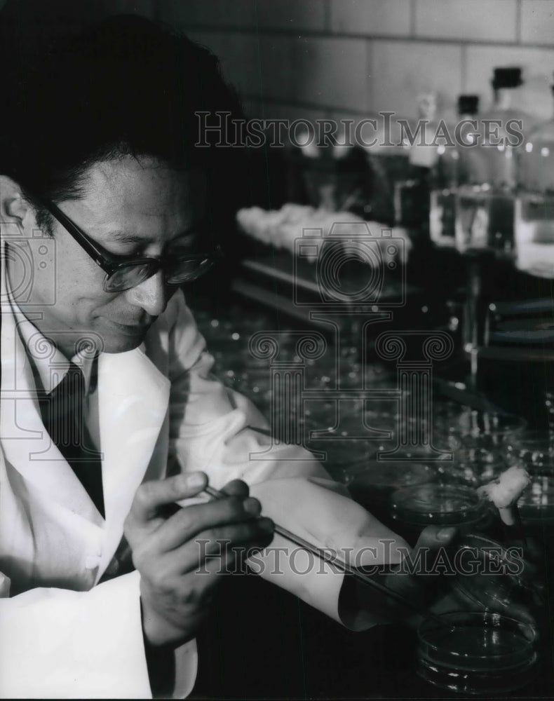 1962 Press Photo Univ. of Tx Med Center, Dr Yoshikazu Watanabe & cholera vaccine- Historic Images