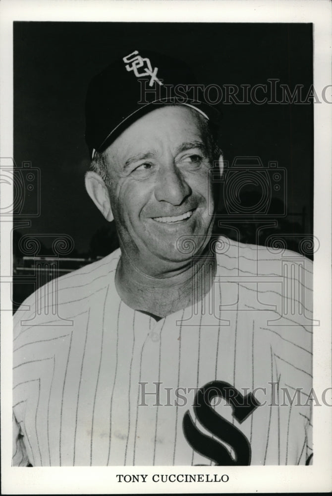 1964 Press Photo Tony Cuccinello 2nd 3rd Baseman Coach Chicago White Sox MLB