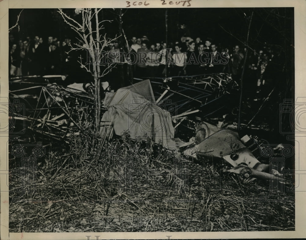1938 Press Photo Wreckage of sight seeing plane outside Detroit MI - neb37899