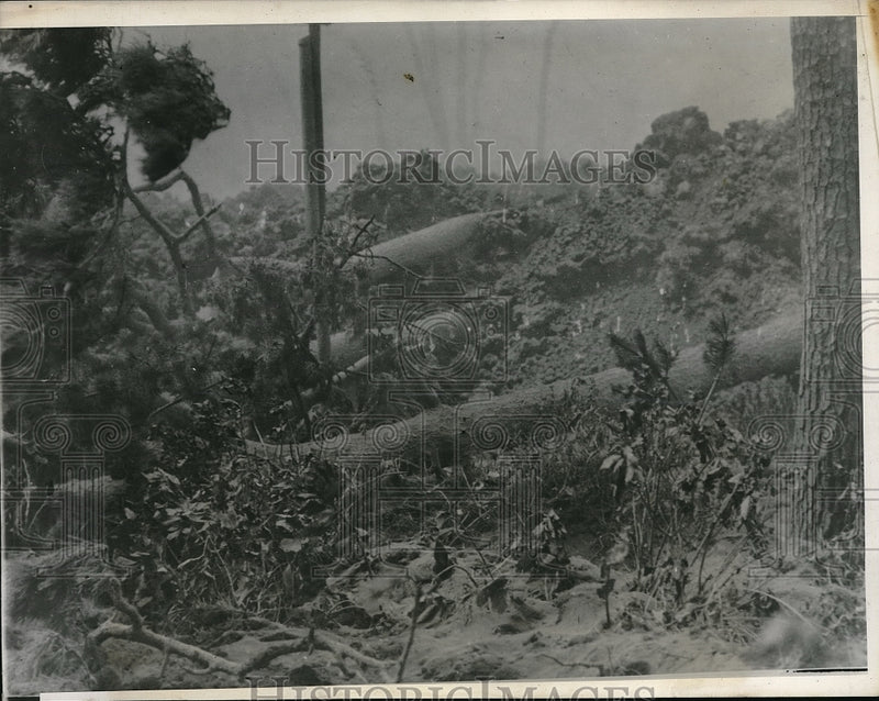 Load image into Gallery viewer, 1940 Press Photo Trees &amp; Telephone poles destroyed by lava flow from Mt Yuzan
