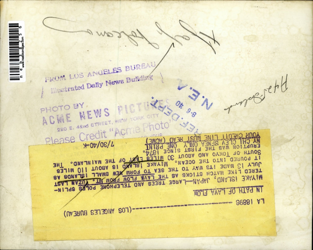 1940 Press Photo Trees & Telephone poles destroyed by lava flow from Mt Yuzan