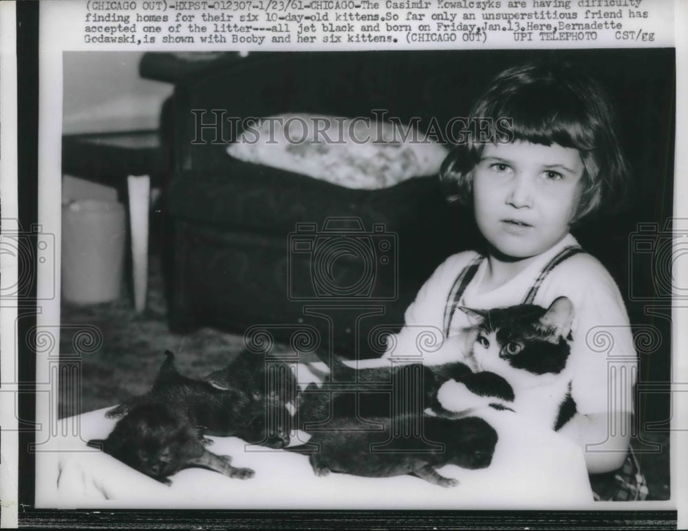 1961 Press Photo Bernadette Godawski & her cat & kittens in Chicago - neb39251