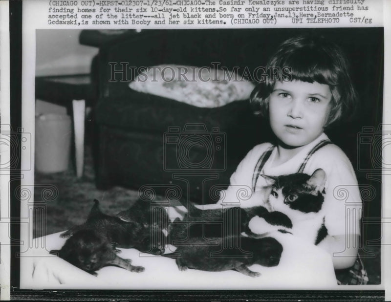 Load image into Gallery viewer, 1961 Press Photo Bernadette Godawski &amp; her cat &amp; kittens in Chicago - neb39251
