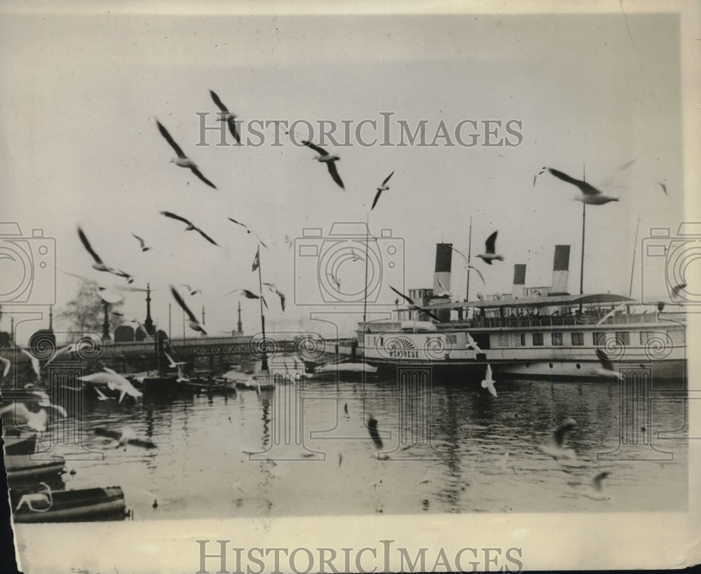 1930 Press Photo Doves of peace at council hall in Geneva Switzerland- Historic Images