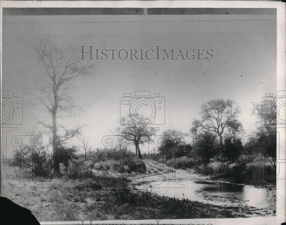 1929 Press Photo The Center of Kalahari after a thunderstorm.
