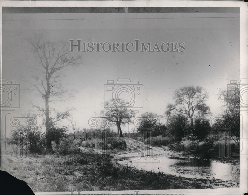 Load image into Gallery viewer, 1929 Press Photo The Center of Kalahari after a thunderstorm.
