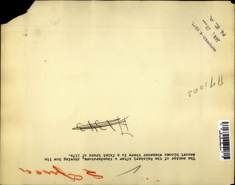 Load image into Gallery viewer, 1929 Press Photo The Center of Kalahari after a thunderstorm.
