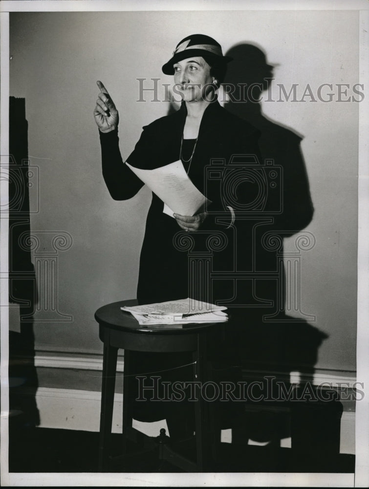1933 Press Photo Emma Partridge chairman of NYC NRA at convention in NYC