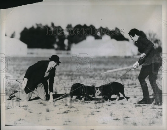 1934 Press Photo Mrs Walter Hyatt falls during womens pig driving competition- Historic Images