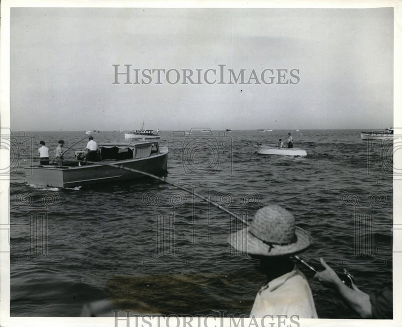 Load image into Gallery viewer, 1941 Press Photo St petersburg, Fla sports fishermen try for Kingfish
