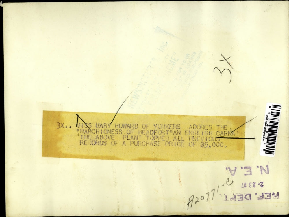 1937 Press Photo Miss Mary Howard of Yonkers adores the English Carnation.