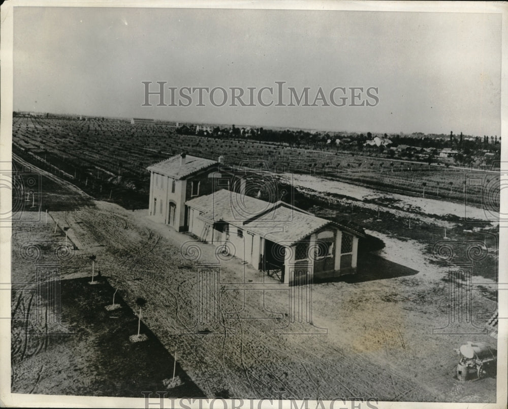 1931 Press Photo Ferrara, Italy Mesola Estate reclaimed from marshes - neb49097- Historic Images