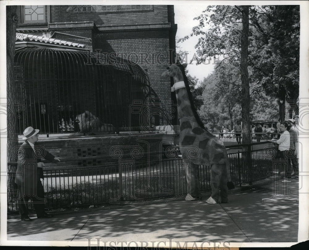 1958 Press Photo Chicago&#39;s Lincoln Park zoo- Historic Images