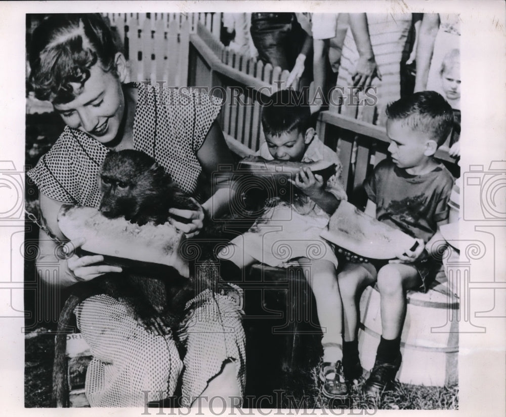 1953 Press Photo 4 year old baboon in watermelon eating contest in Chicago