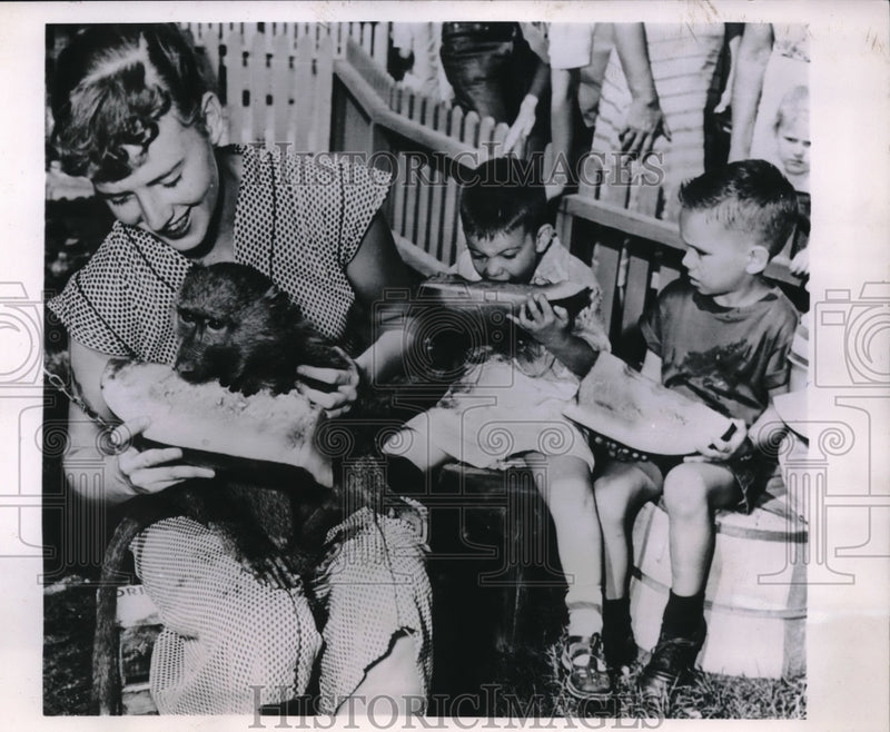 Load image into Gallery viewer, 1953 Press Photo 4 year old baboon in watermelon eating contest in Chicago
