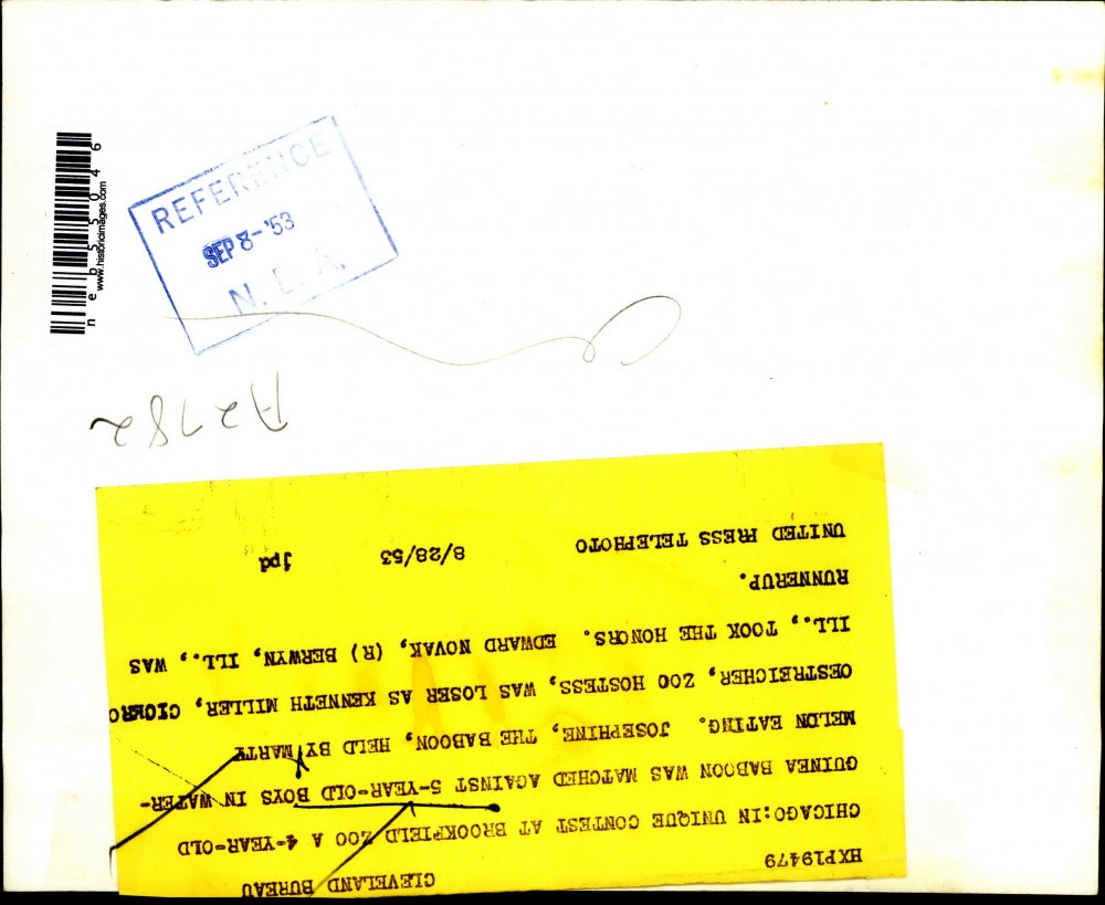 1953 Press Photo 4 year old baboon in watermelon eating contest in Chicago