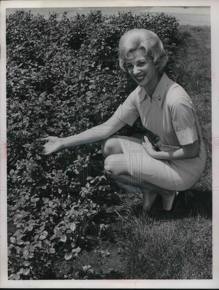 1964 Press Photo Cheri Martin admires spring blooms on Cleveland's Mall, Ohio