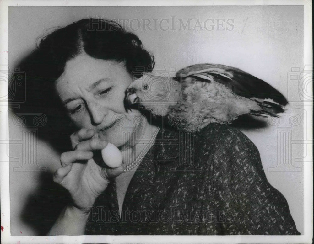 1959 Press Photo Mike the parrot &amp; Miss Avis Wise of Chicago &amp; egg bird laid- Historic Images