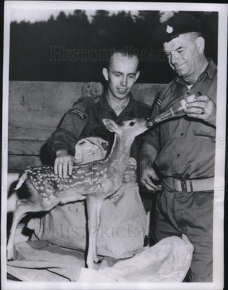 1956 Press Photo Camp Gagestown Bew Brunswick Postal Corps men feed a fawn- Historic Images