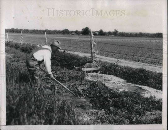 1946 Press Photo National Champion wheat growerLuther Givens Sterling CO- Historic Images