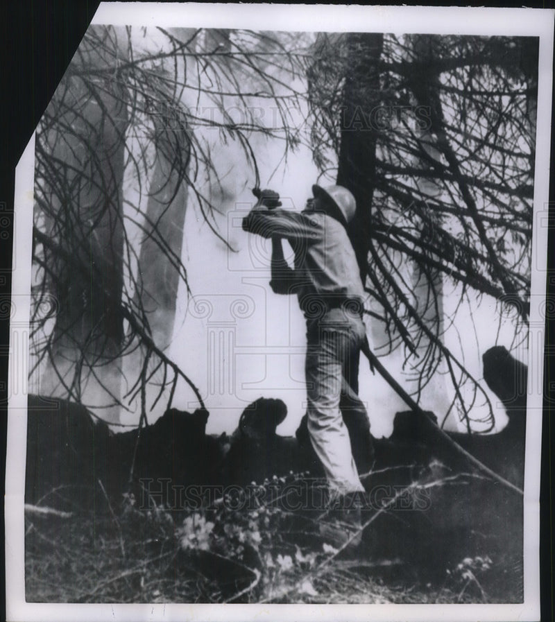Load image into Gallery viewer, 1955 Press Photo Firefighter battles forest fire near Fresno CA - neb67492
