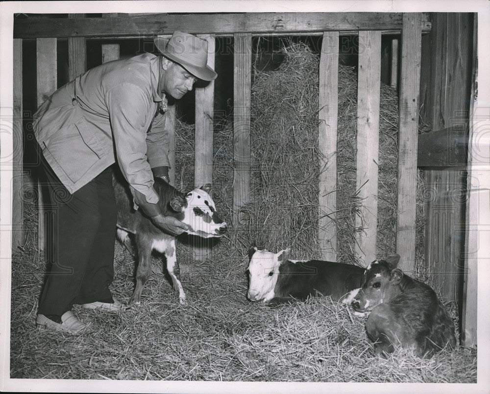 1953 Press Photo Frank Waits Parsons Kansas farmer & triplet calves - neb67998